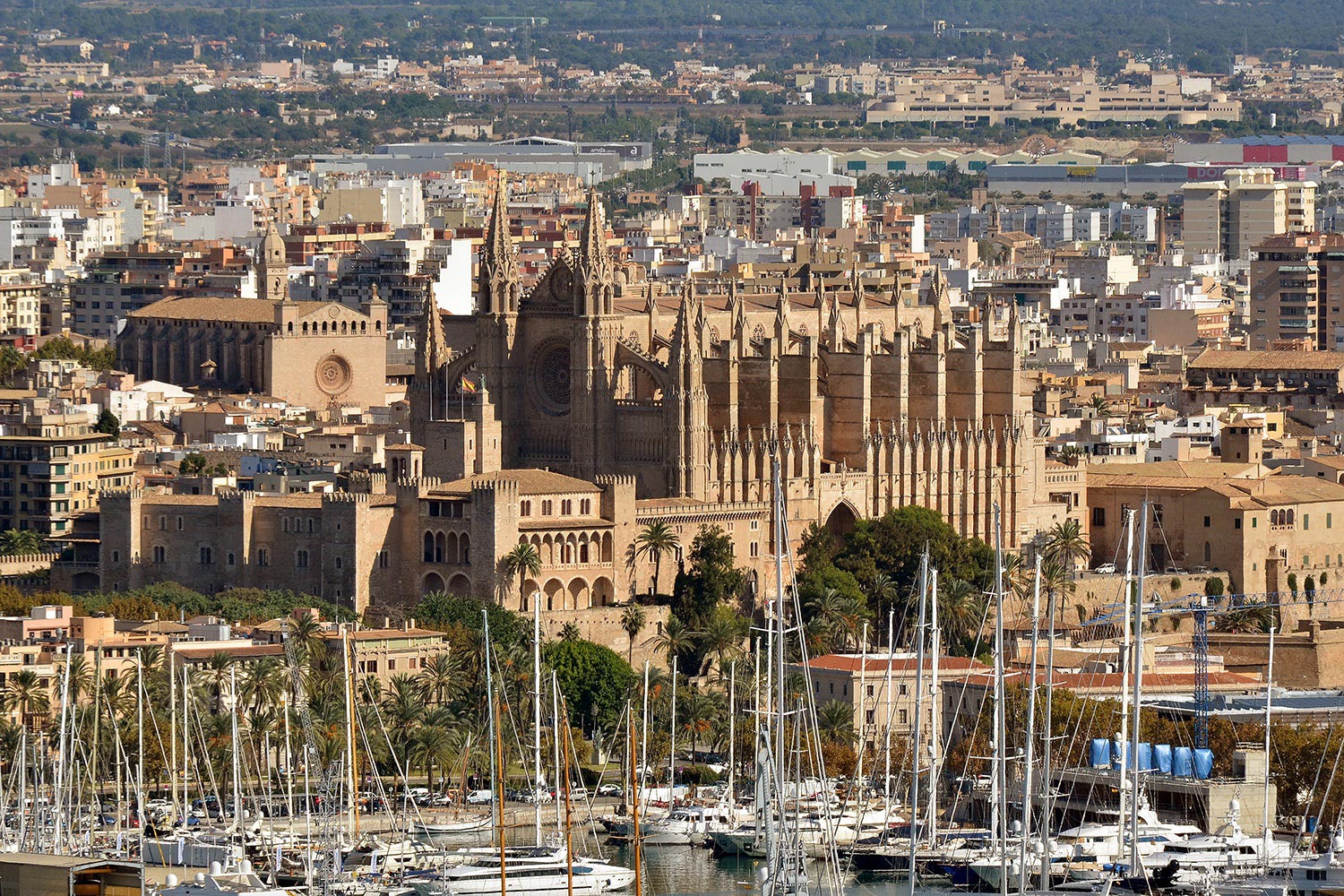 Palma